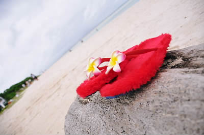 �A�W�A���G�݁@�T���_��